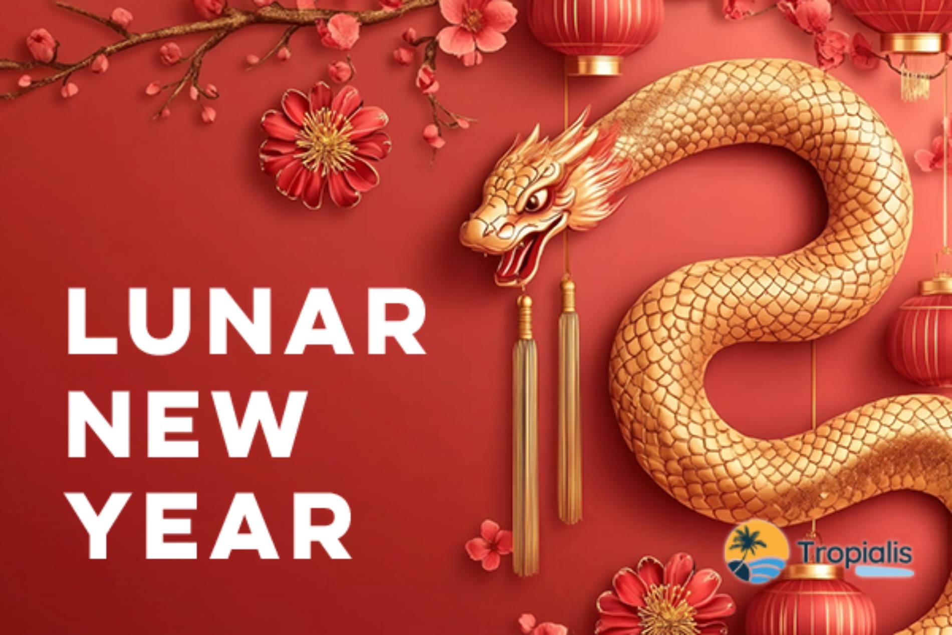 Lunar New Year 2025: Year of the Snake Celebration